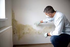 Best Crawl Space Mold Remediation  in Brookhaven, PA